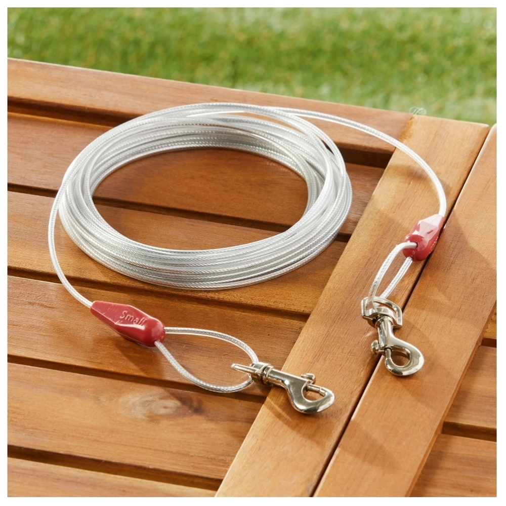 Silver Dog Tie-Out Cable with Red Accents